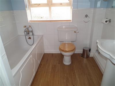 Picture 14